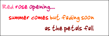 Image of a haiku, which reads: Red rose opening, summer comes but fading soon, as petals fall