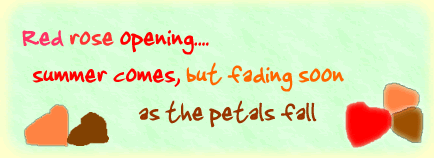 A Haiku, decorated with fallen petals, reading "Red rose opening, summer comes but fading soon as the petals fall"