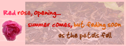 Another decorated haiku, reading 'red rose opening, summer comes but fading soon, as the petals fall. It is illustrated with a red rose and an overlay of fallen leaves.